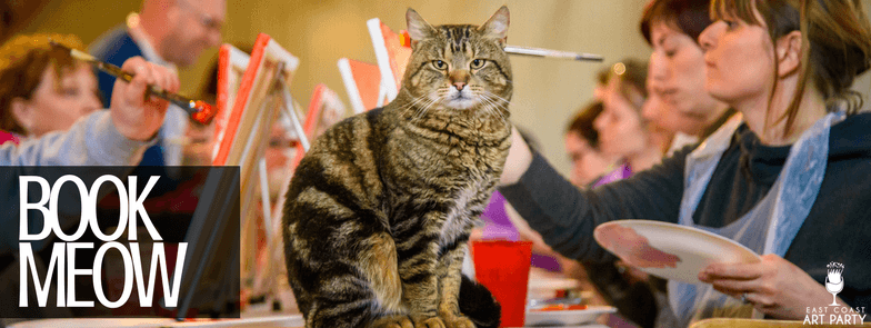 a person holding a cat