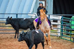 a brown horse standing next to a fence