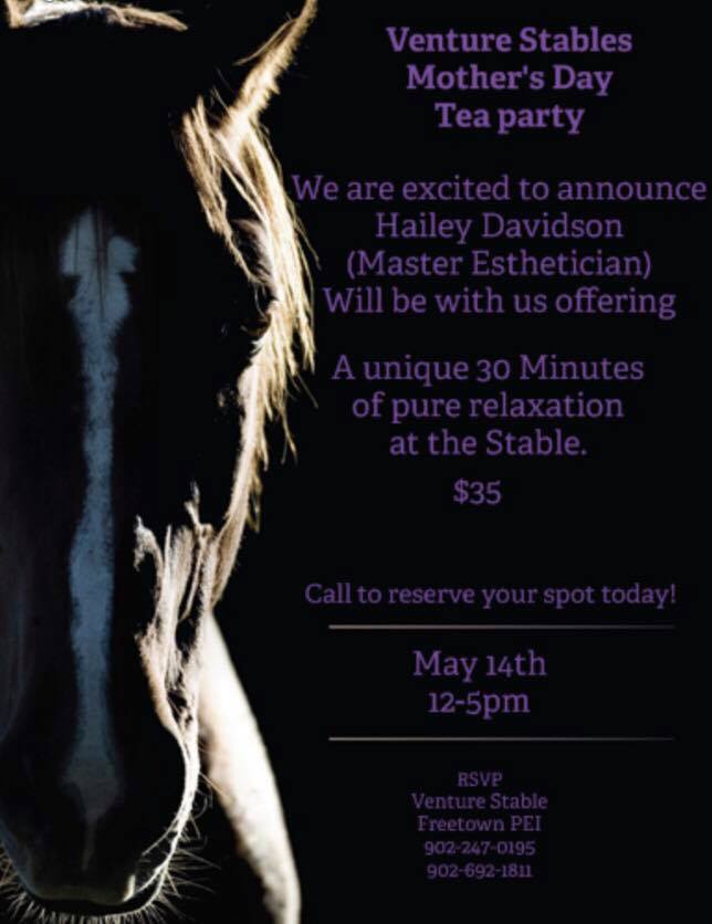 a close up of a horse