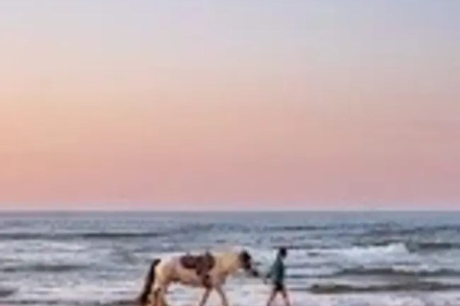 Person walking a horse on a beach during sunset.