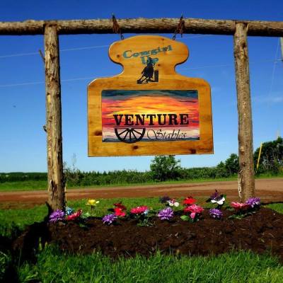 a group of lawn chairs sitting on top of a grass covered field