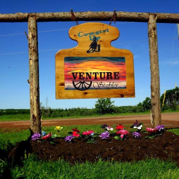 a group of lawn chairs sitting on top of a grass covered field