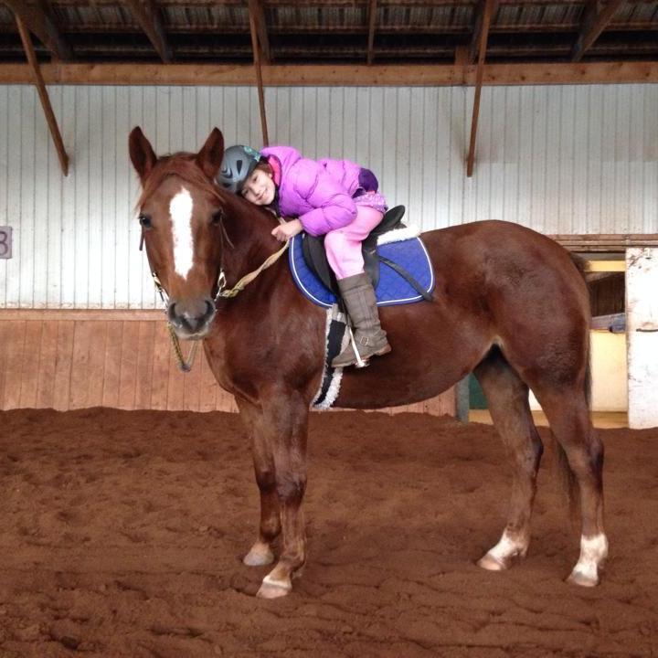 a brown horse standing next to a building