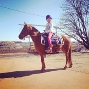 a person riding a horse on a beach