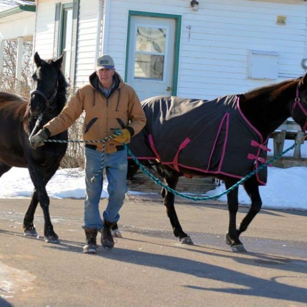 a man riding a horse drawn carriage