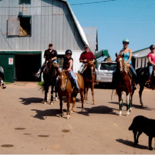 a group of people riding horses on a beach