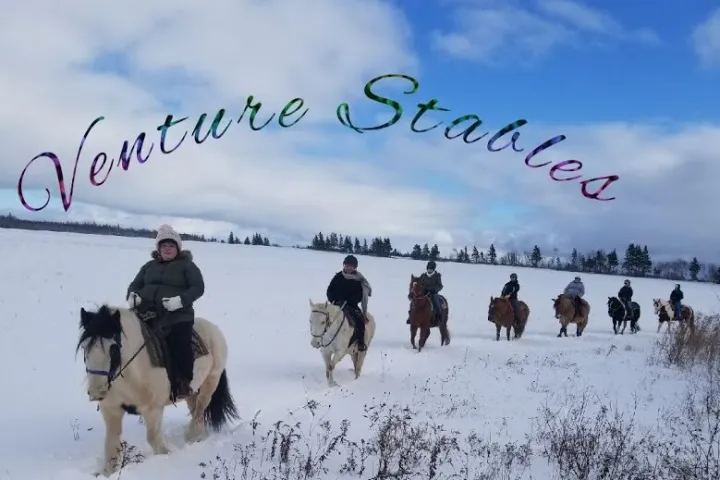 a group of people on a beach with a dog
