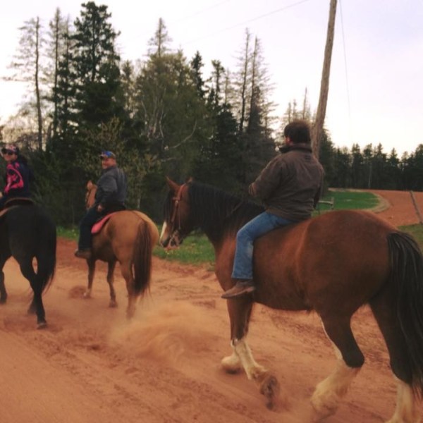 a group of people riding on the back of a horse