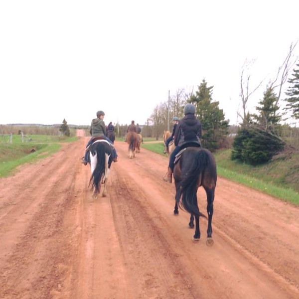 a man riding a horse on the side of a dirt road