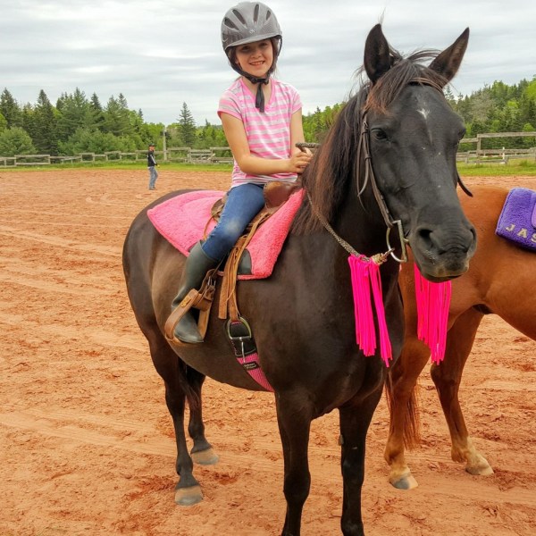 a person riding on the back of a brown horse
