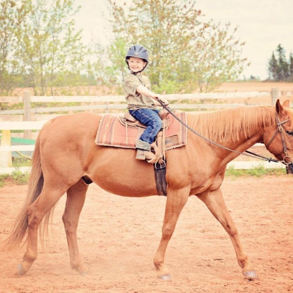 a person riding on the back of a brown horse