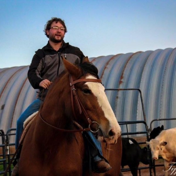a man riding on the back of a brown horse