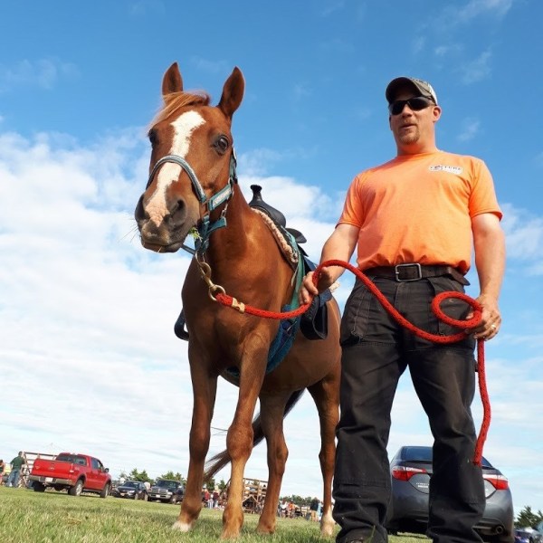 a person riding a horse in a field