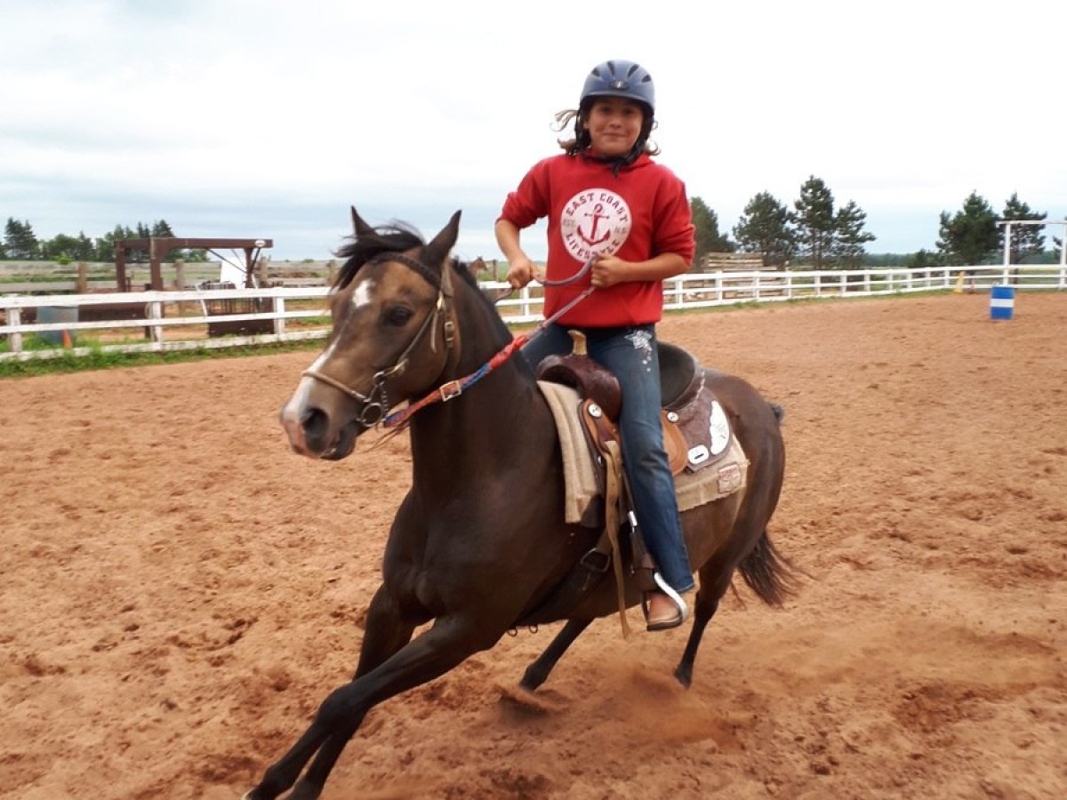 a man riding a horse in a dirt field