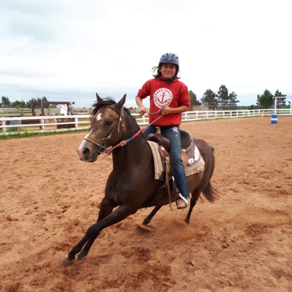 a man riding a horse in a dirt field