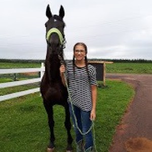 a brown horse standing on top of a grass covered field