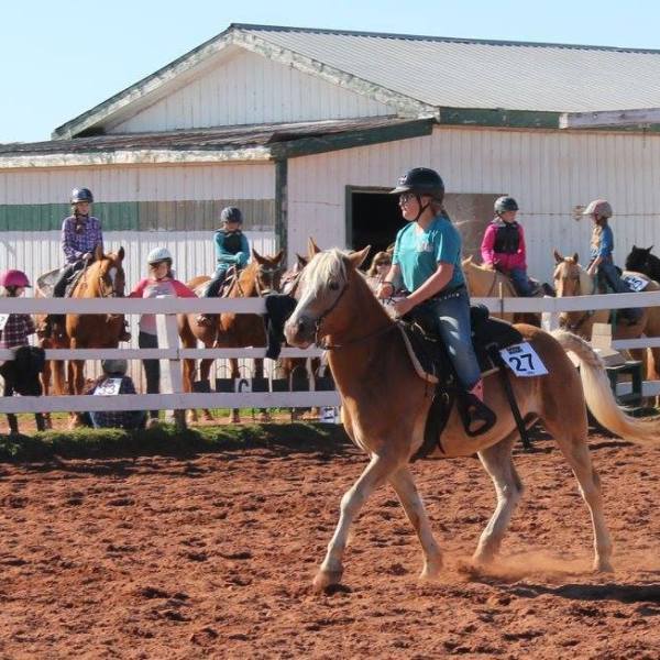 a group of people riding on the back of a horse