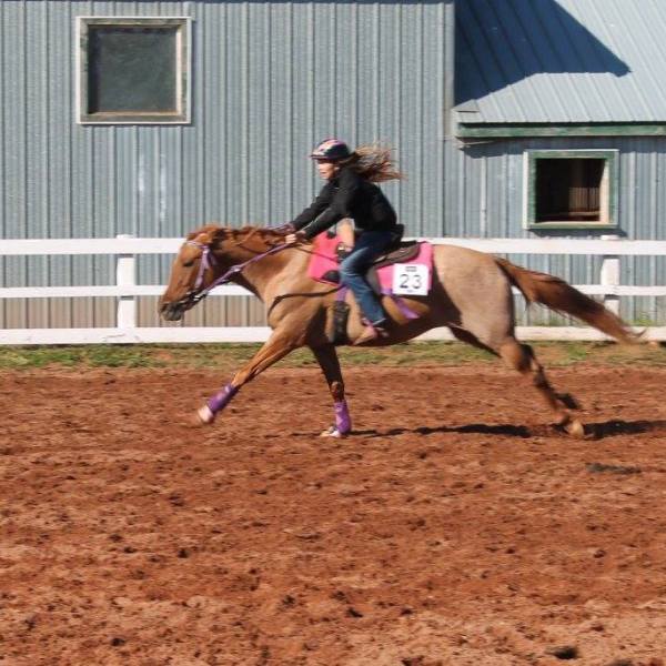 a person that is running to catch a frisbee