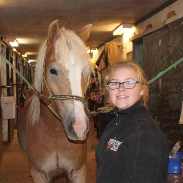 a person standing in front of a horse