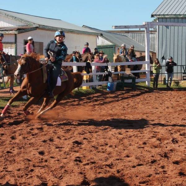 a man riding a horse in the dirt