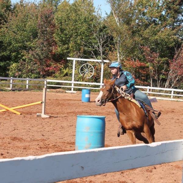 a person riding a horse jumping over a fence