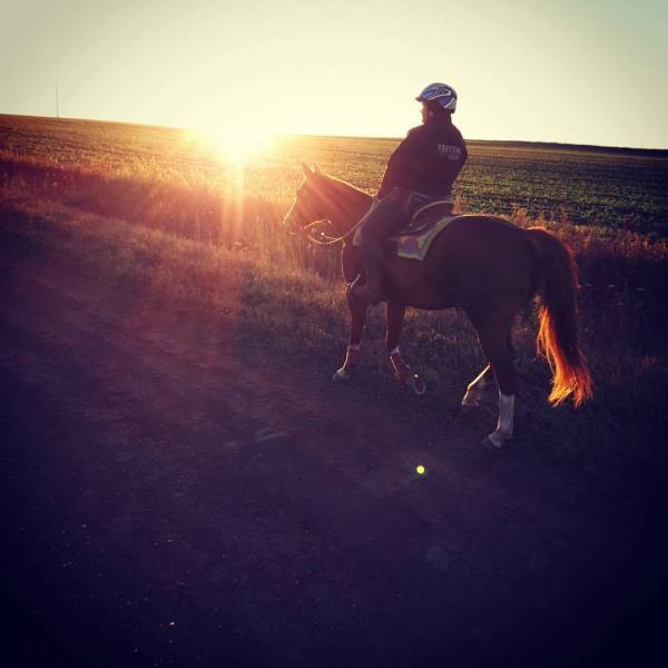 a man riding a horse in a field