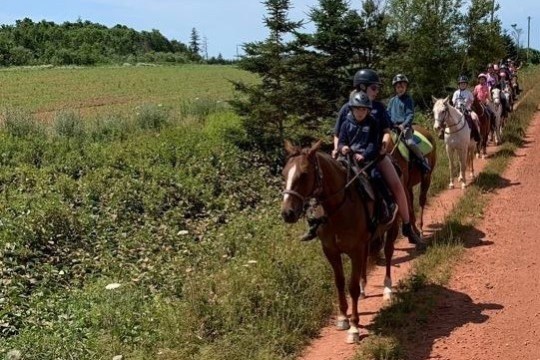 a group of people riding a horse on a dirt road