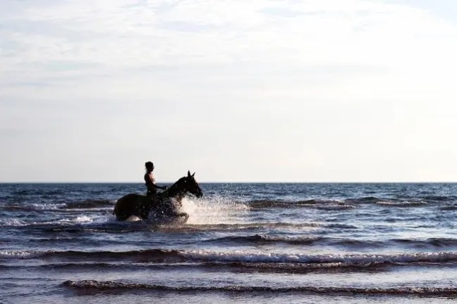 Silhouette of person riding a horse in the ocean waves.