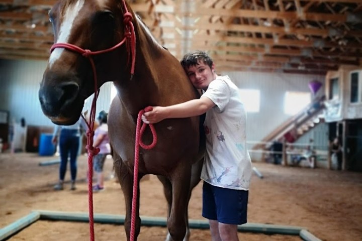 a person standing in front of a horse