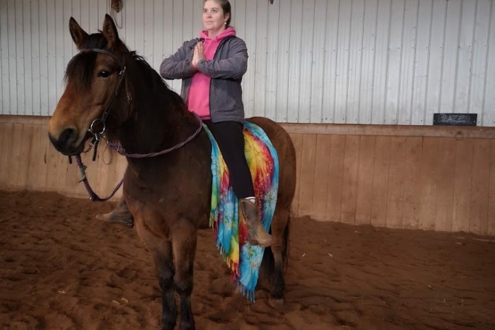 a person riding a horse