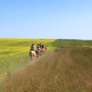 a group of people in a field