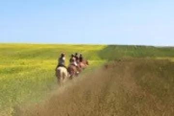 a group of people in a field