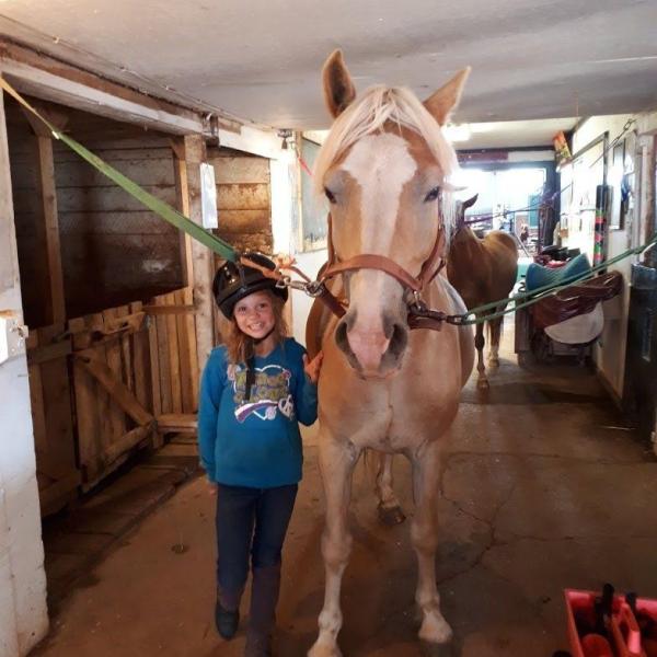 a horse standing in front of a building