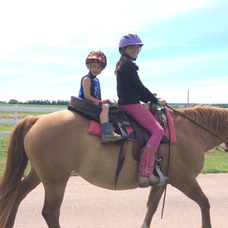 a person riding a horse