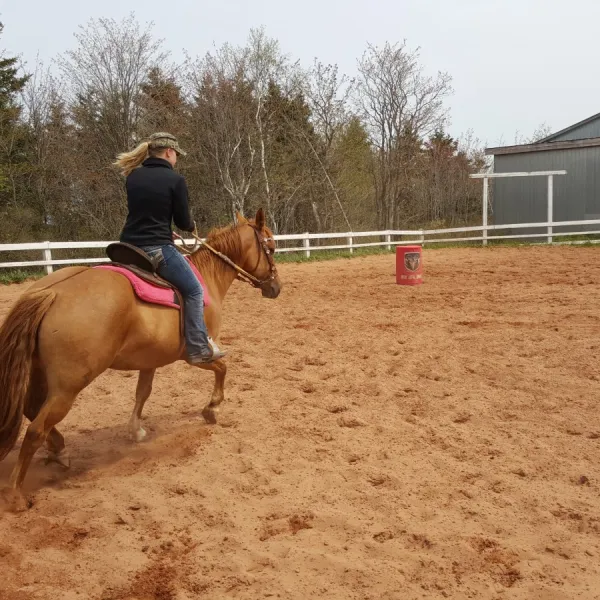 a person riding a horse in the dirt