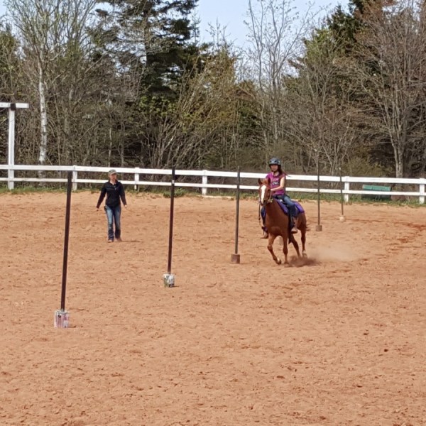 a person riding a horse jumping over a fence