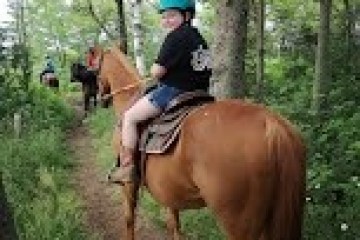 a person riding a horse