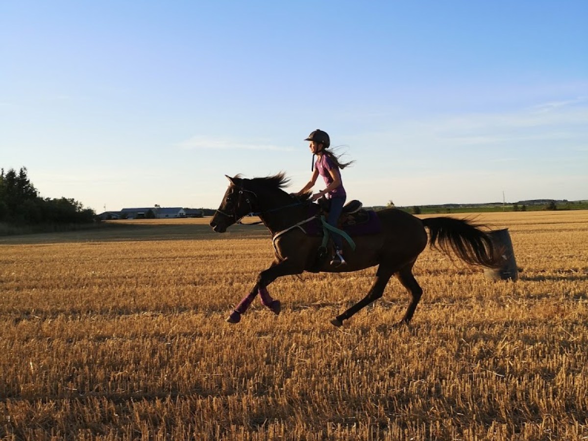 a man riding a horse in a field
