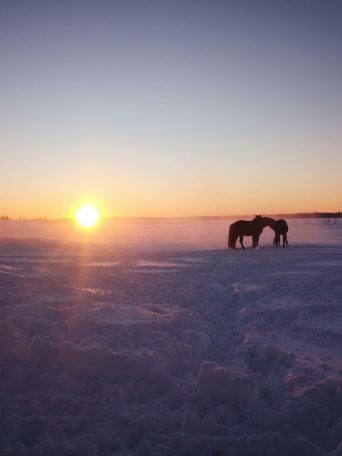 a sunset over a body of water