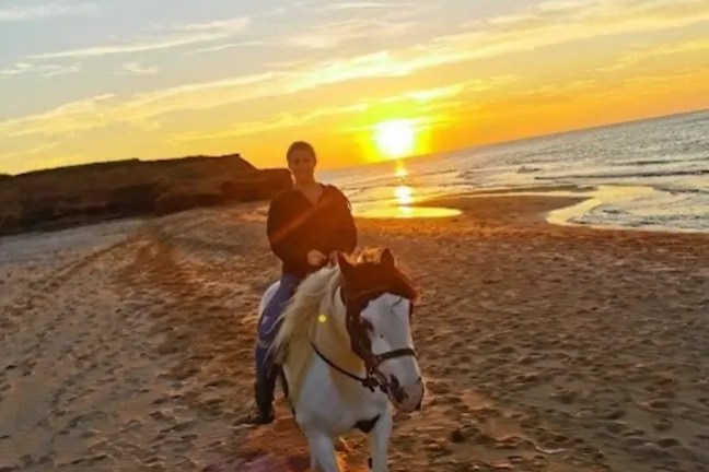 Person riding a horse on the beach at sunset.