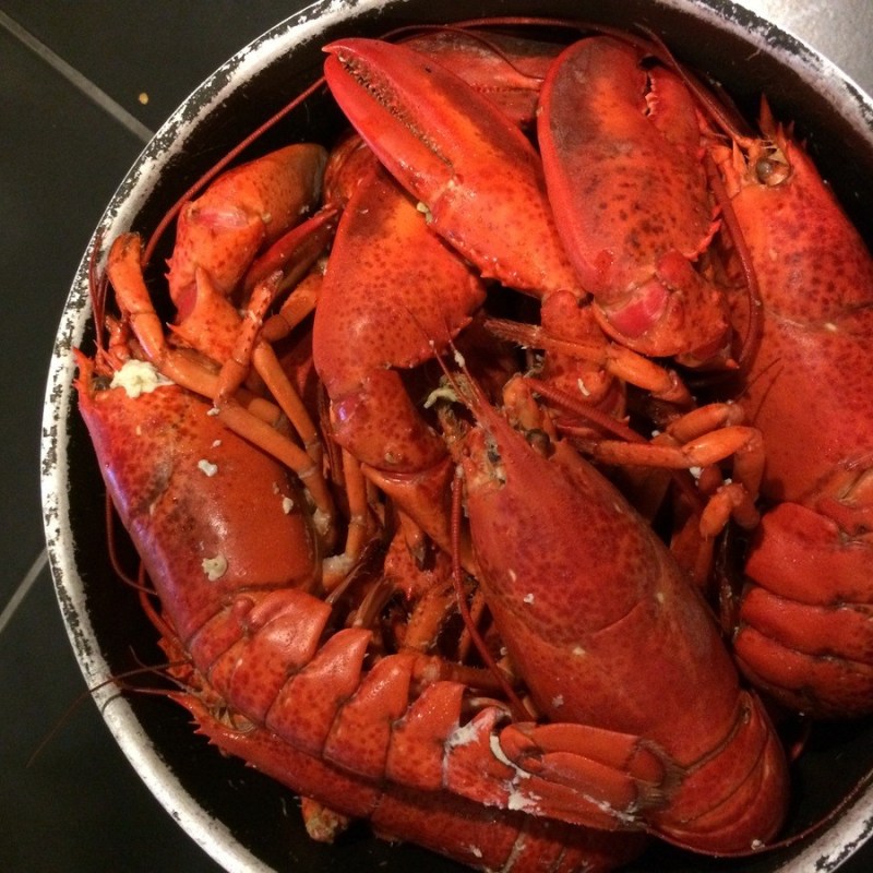 a lobster on a table