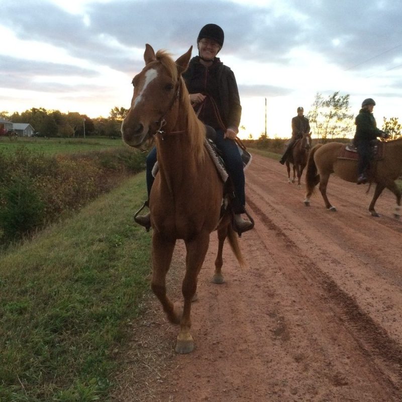 a man riding a horse on a dirt road
