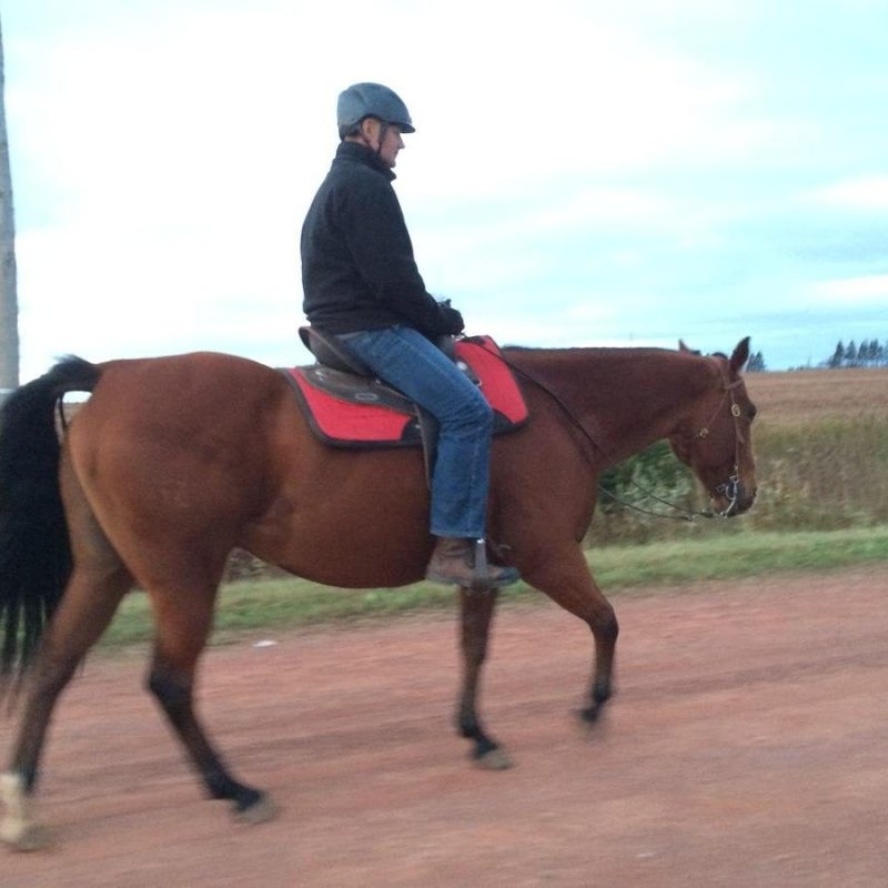 a man riding a horse