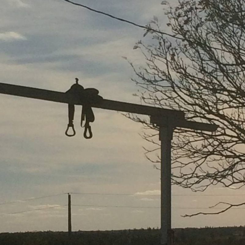 a plane flies through the air on a cloudy day