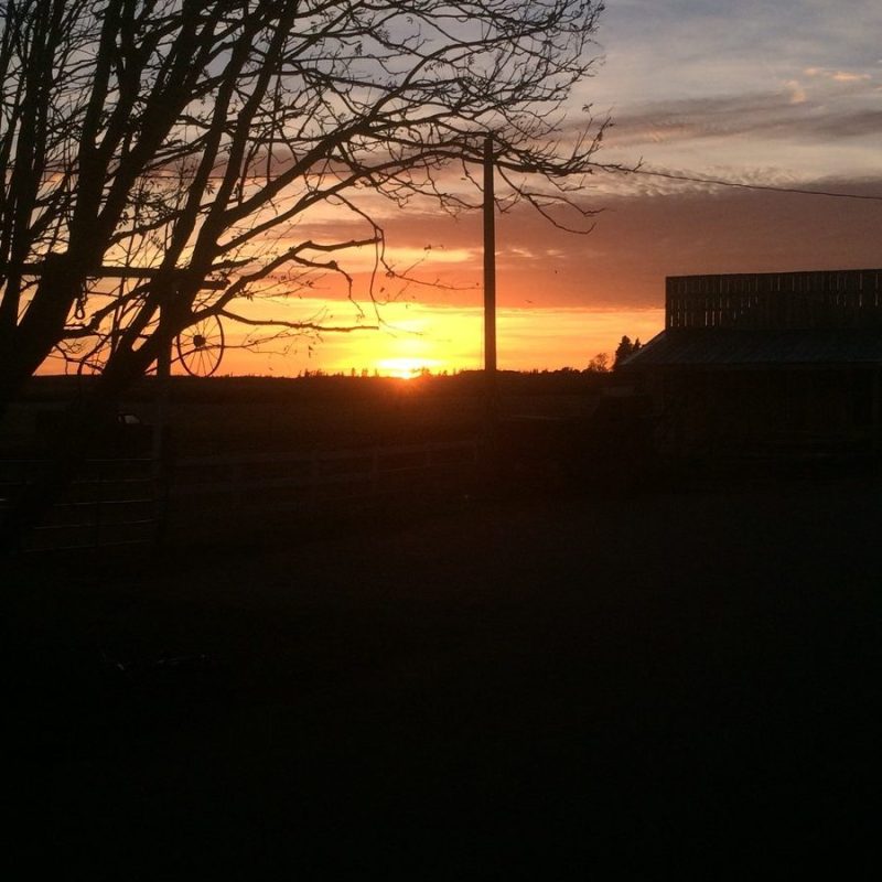 a view of a city at sunset