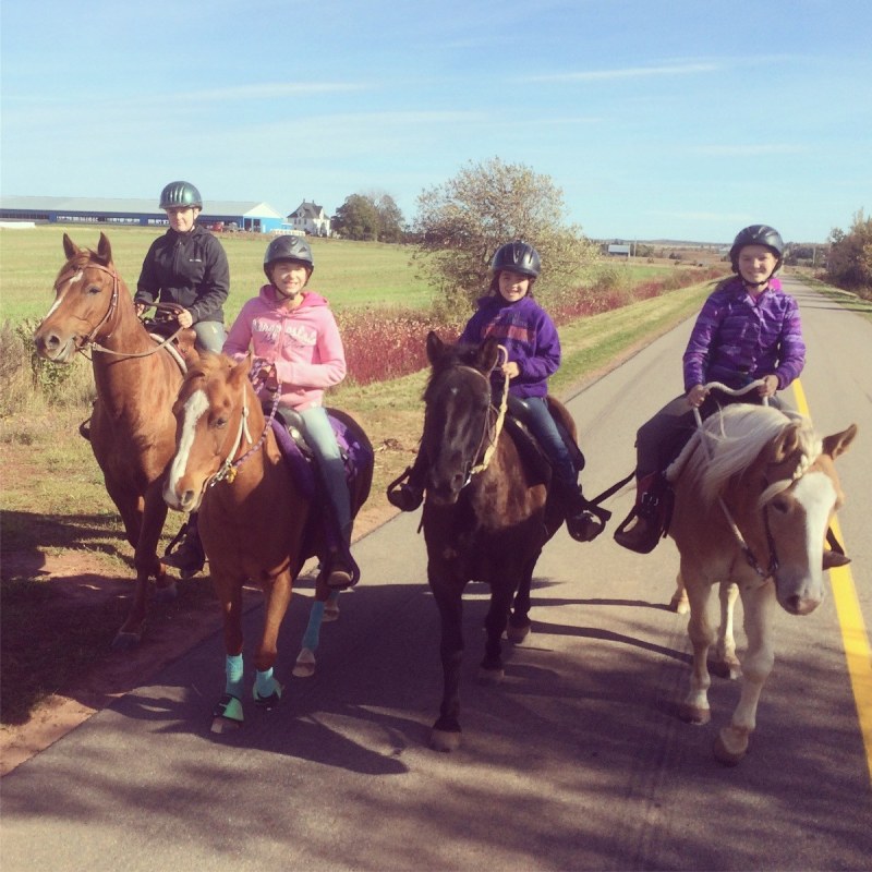 a group of people riding on the back of a horse