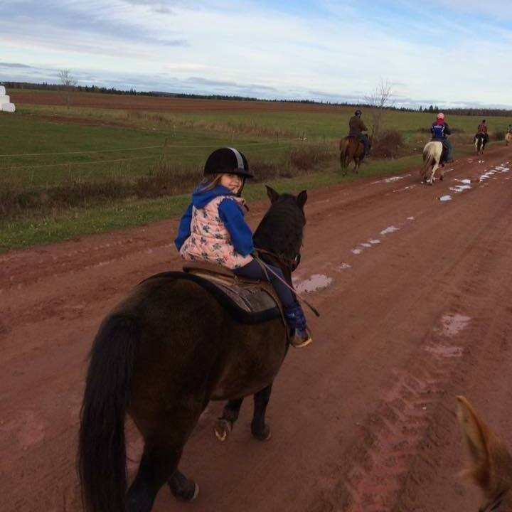 a person riding a horse on a dirt road