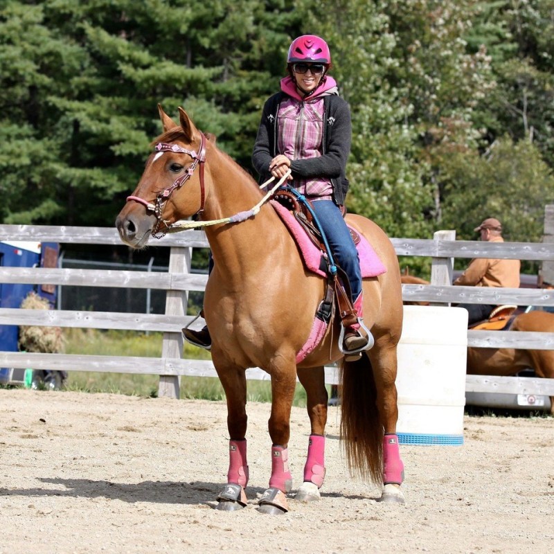 a person riding a horse