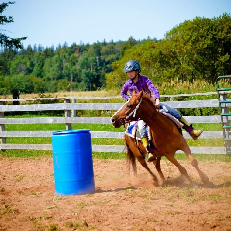 a person riding a horse next to a fence