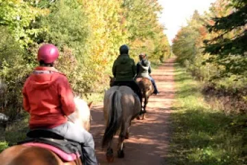a man riding a horse